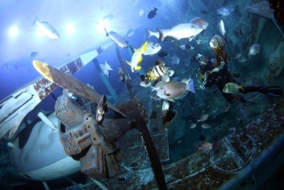  水族馆 